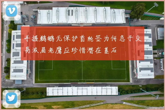 手握鹈鹕无保护首轮签为何急于交易浓眉老鹰应珍惜潜在基石