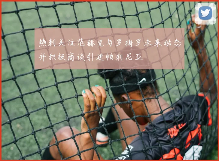 热刺关注范赫克与罗梅罗未来动态并积极商谈引进帕利尼亚